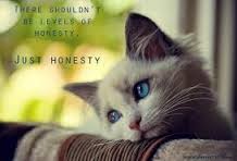 Honesty cat