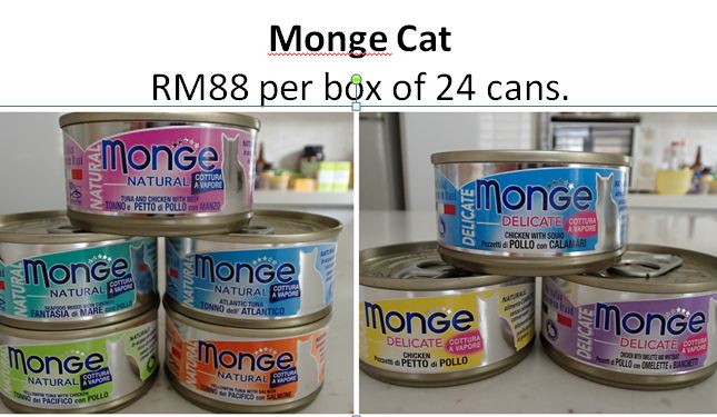 Monge Cat