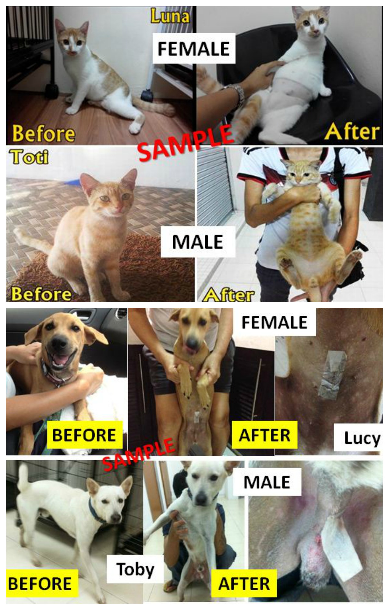 SAMPLE PHOTOS
