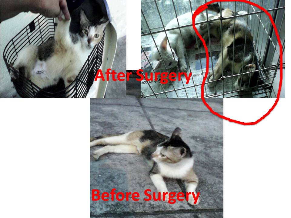 Slide2