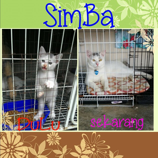 mini-PicsArt_01-25-08.46.19