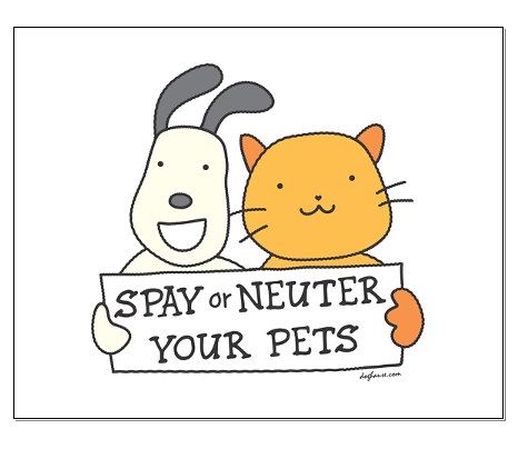 spay and neuter