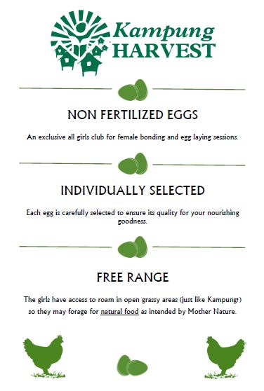 Eggs
