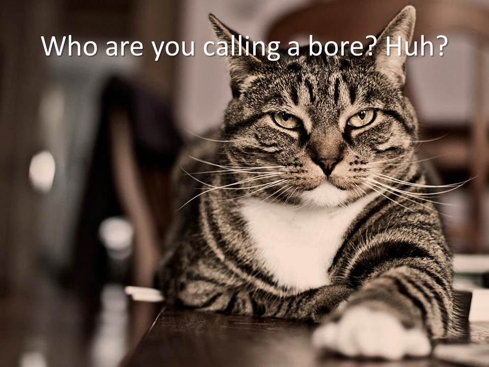 Who are you calling a bore