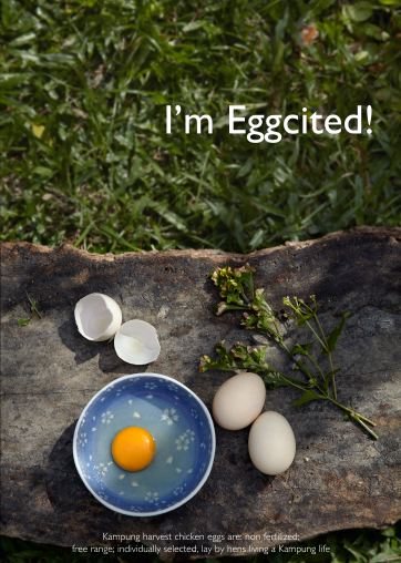 eggcited