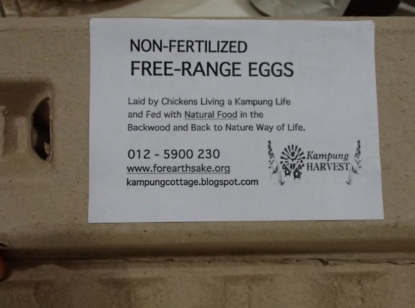 eggs