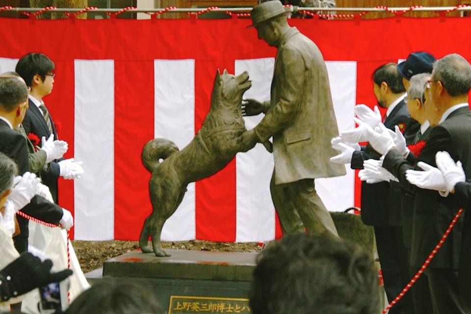 hachiko 2