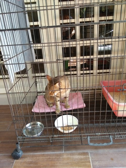 mini-IMG20160308111106