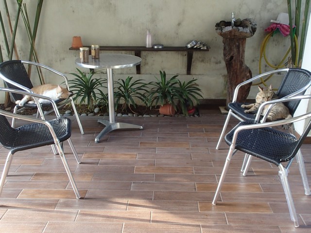 mini-P3050638