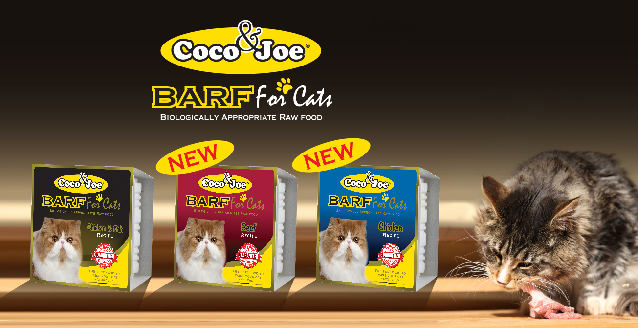 CAT-Annoucement ad