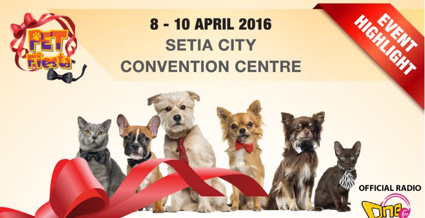 Pet fiesta advert