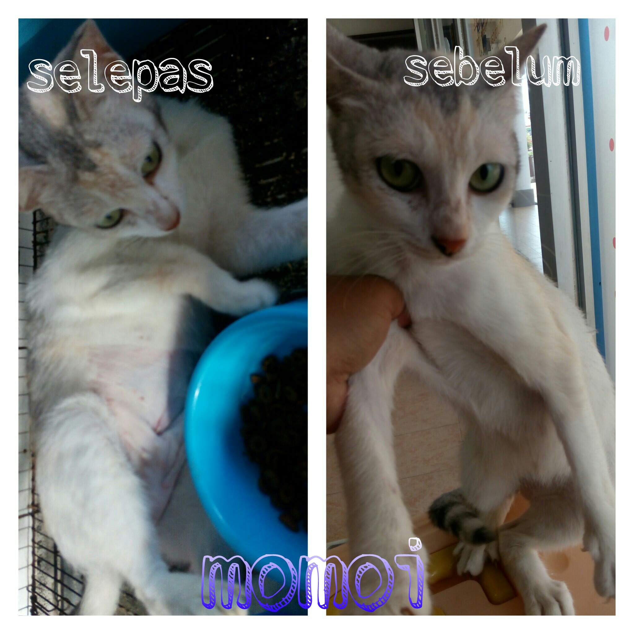 PicsArt_04-08-08.38.52