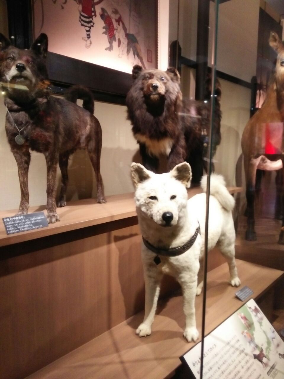 bfc30ad9-33a4-4143-a5a0-4603bc526274