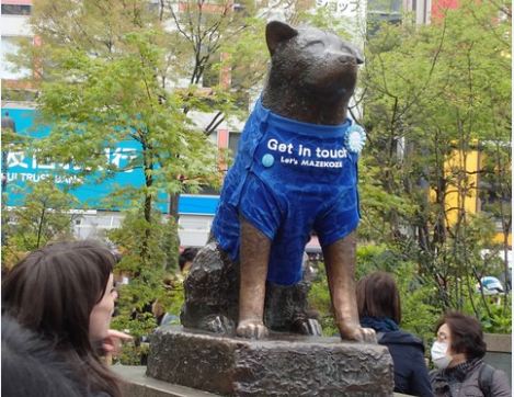 hachiko shibuya