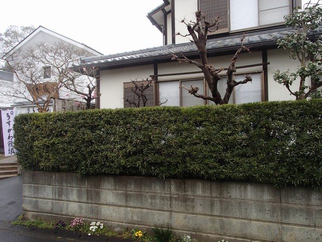 mini-P4031035