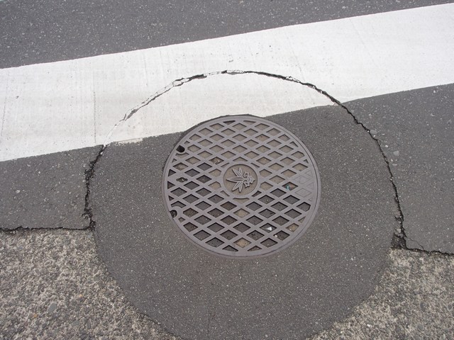 mini-P4031171