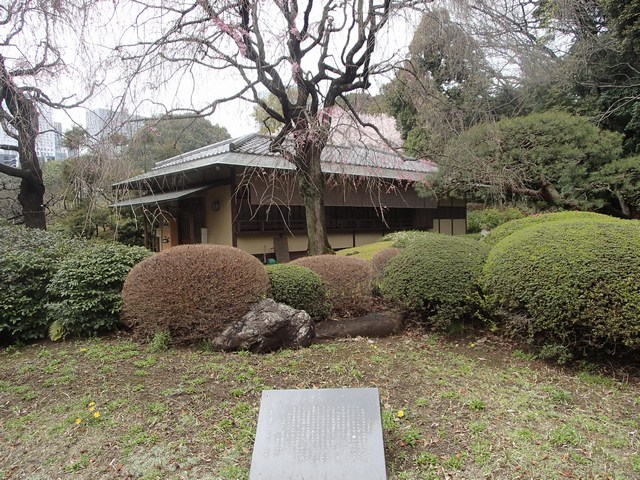 mini-P4041268
