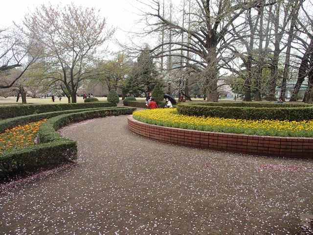 mini-P4041307