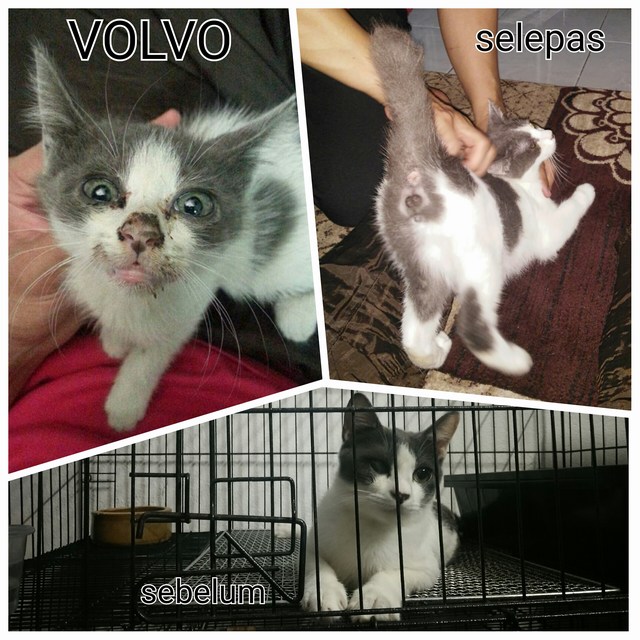 mini-PhotoGrid_1461158278031