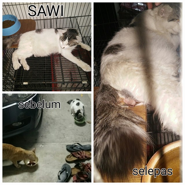 mini-PhotoGrid_1461158567625