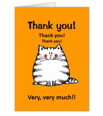 thank you cat