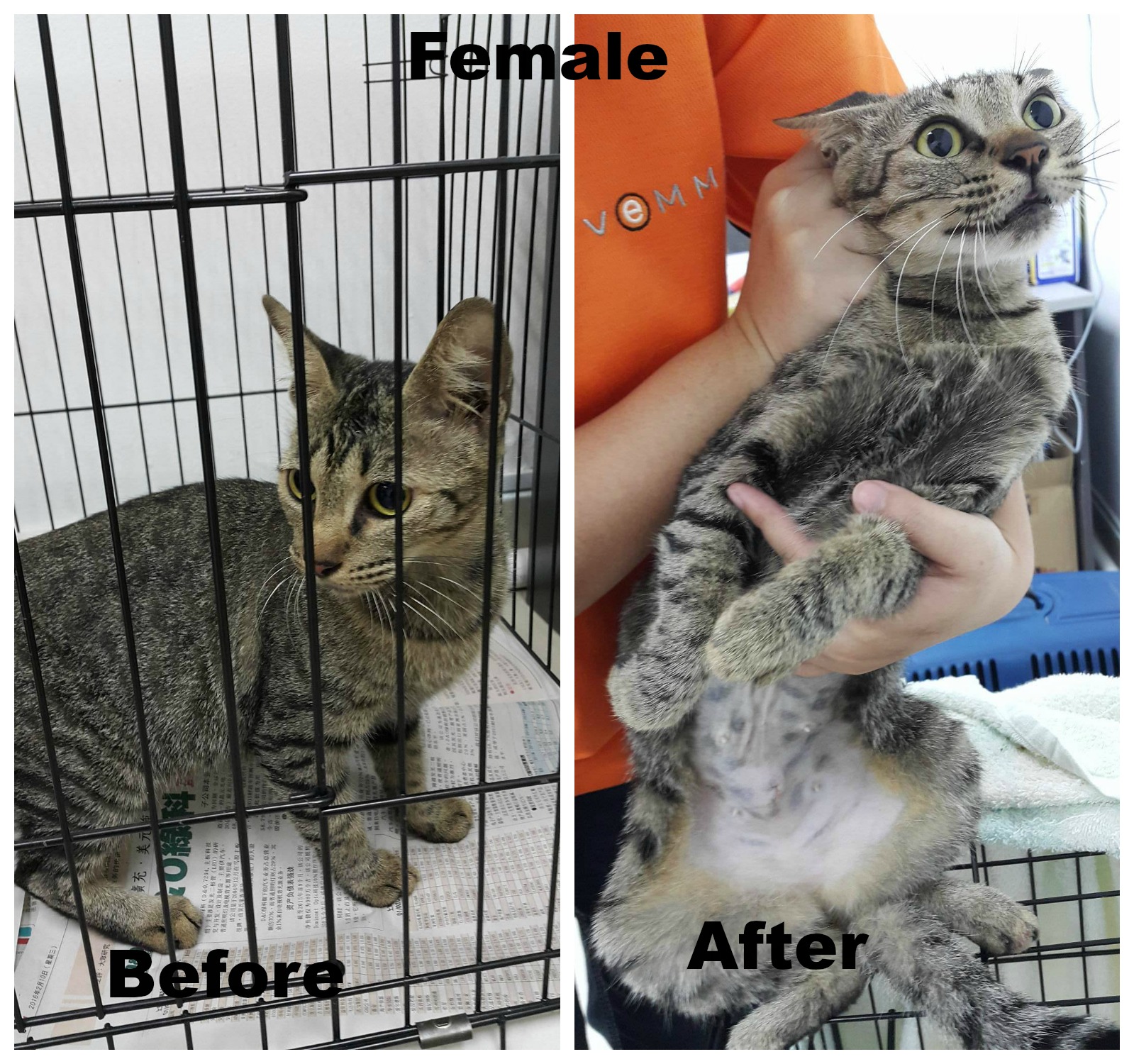 tnr201604#3