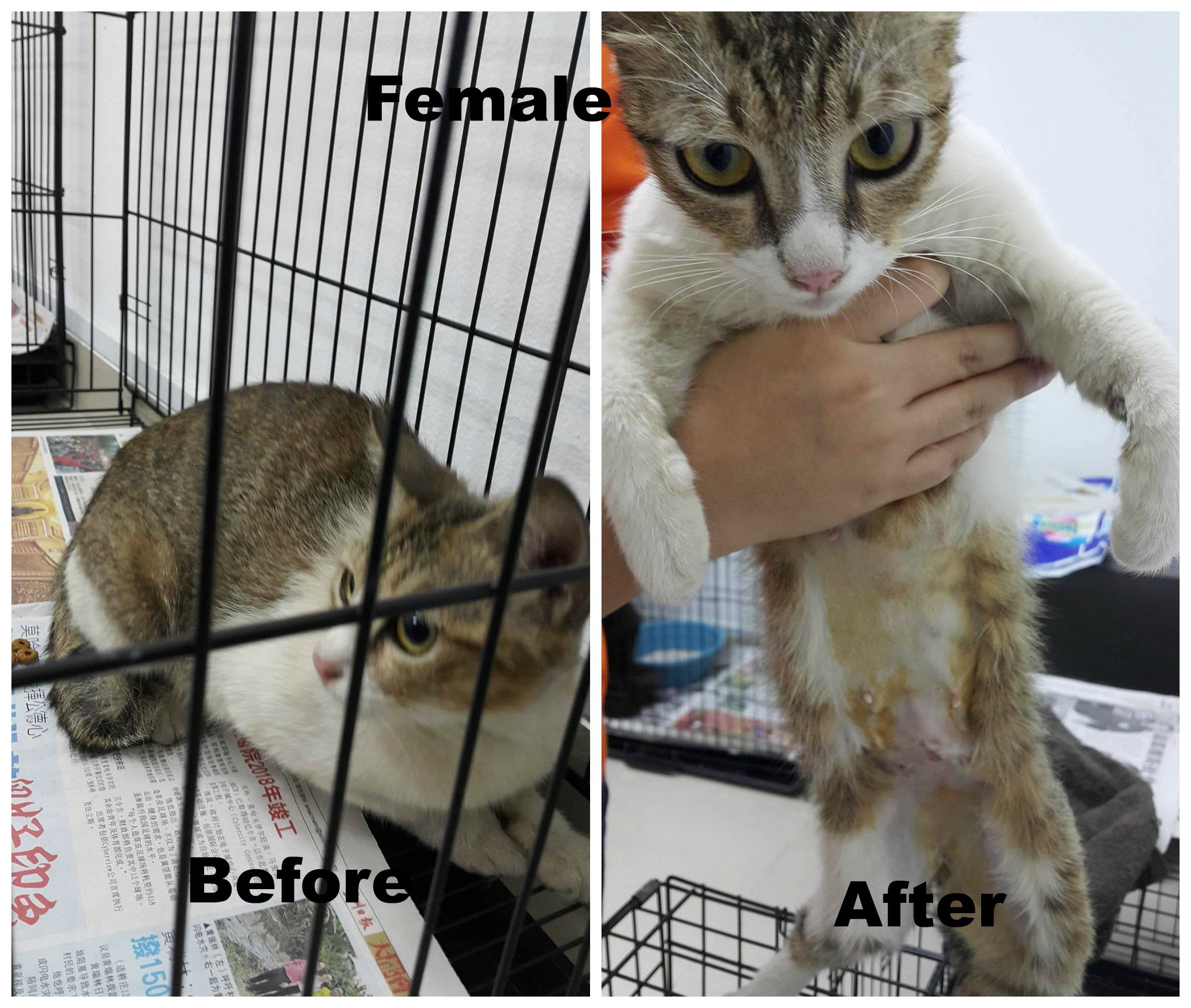 tnr201604#4