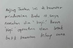 Capture