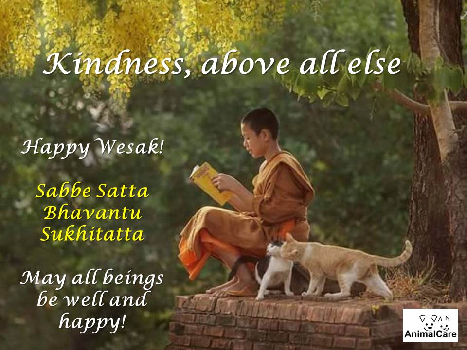 Kindness, above all else WESAK 2016