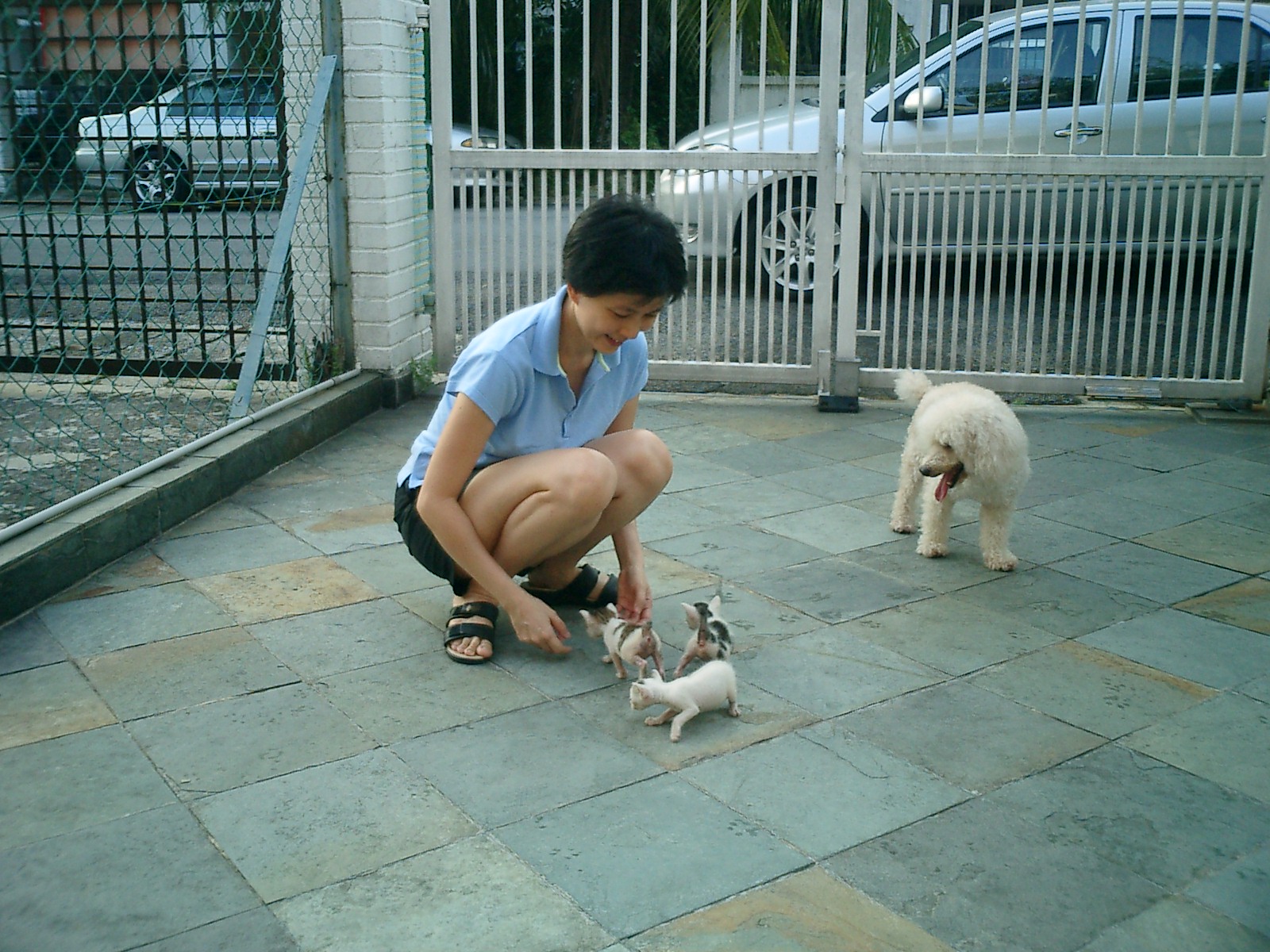 me, kits & Bobs