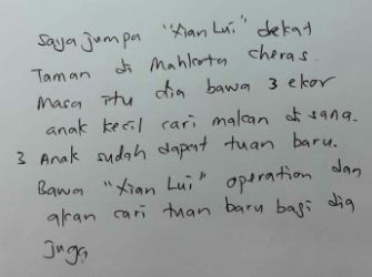 tan soo mei write up