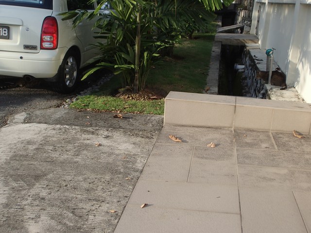 mini-P6190039