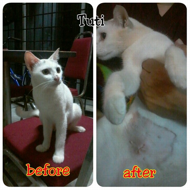 mini-PhotoGrid_1466538812489