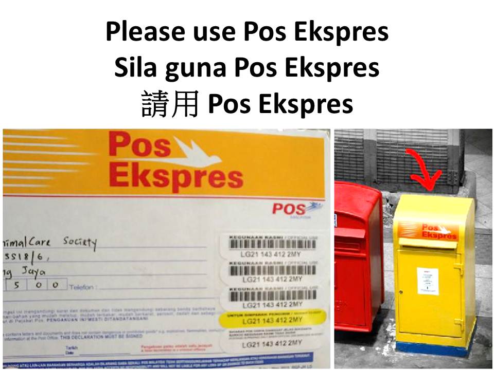4 Use Pos Ekspres (2-5 days)