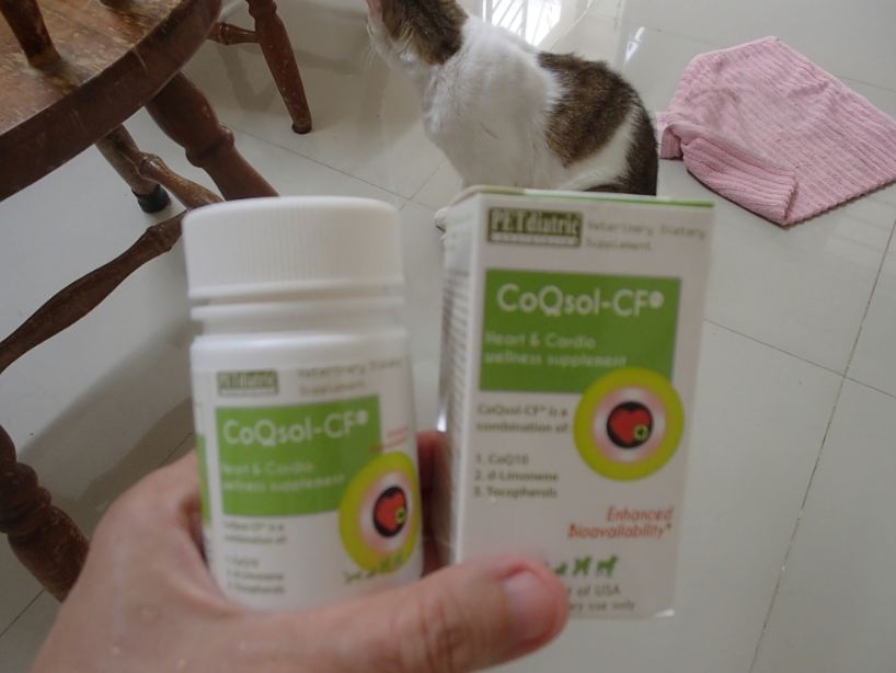 CoQ10