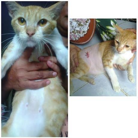Salmiah Mat Arof July 24
