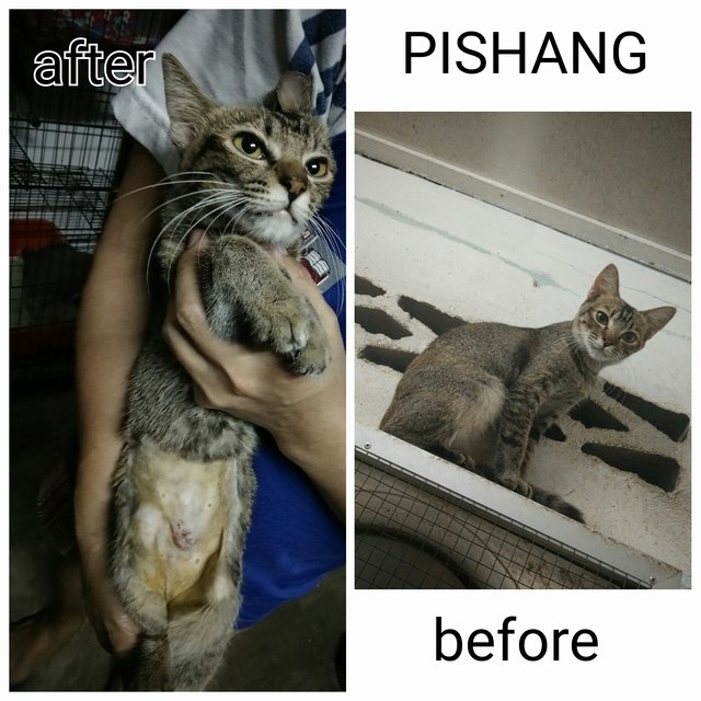 mini-PhotoGrid_1469689176814