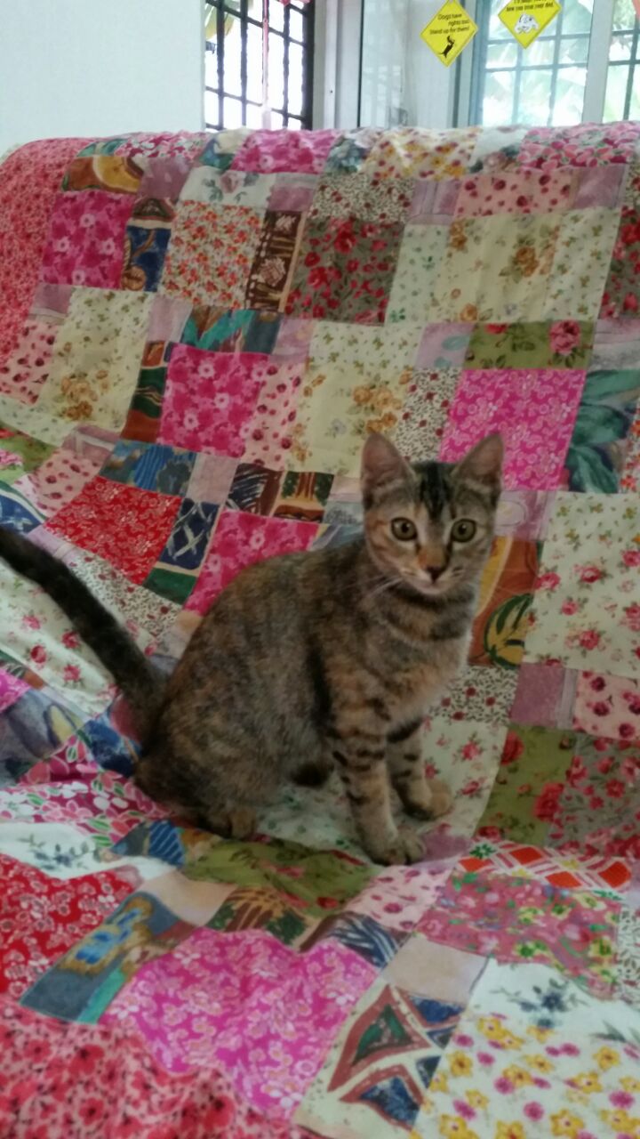 May Mya