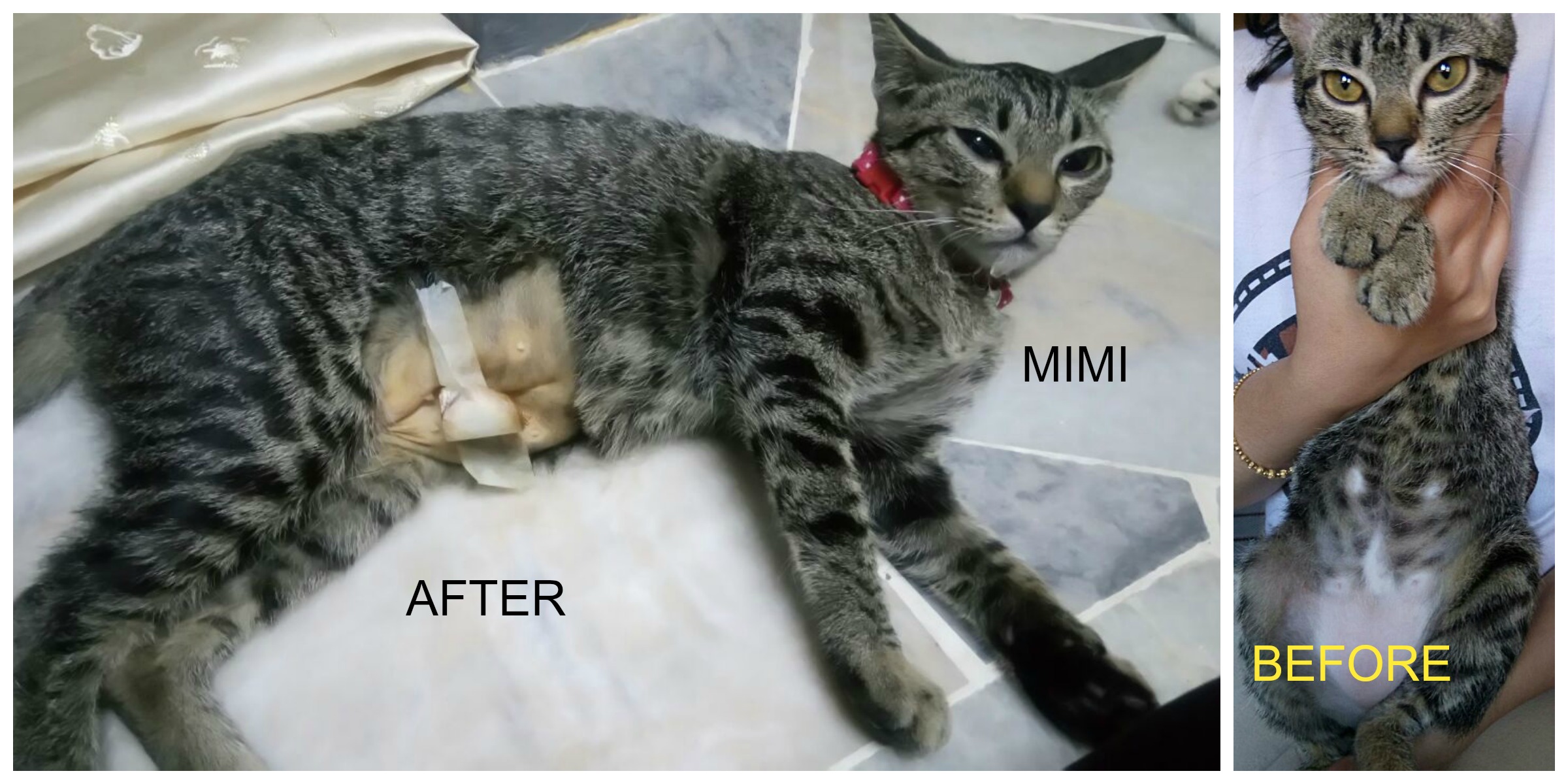 Mimi use this