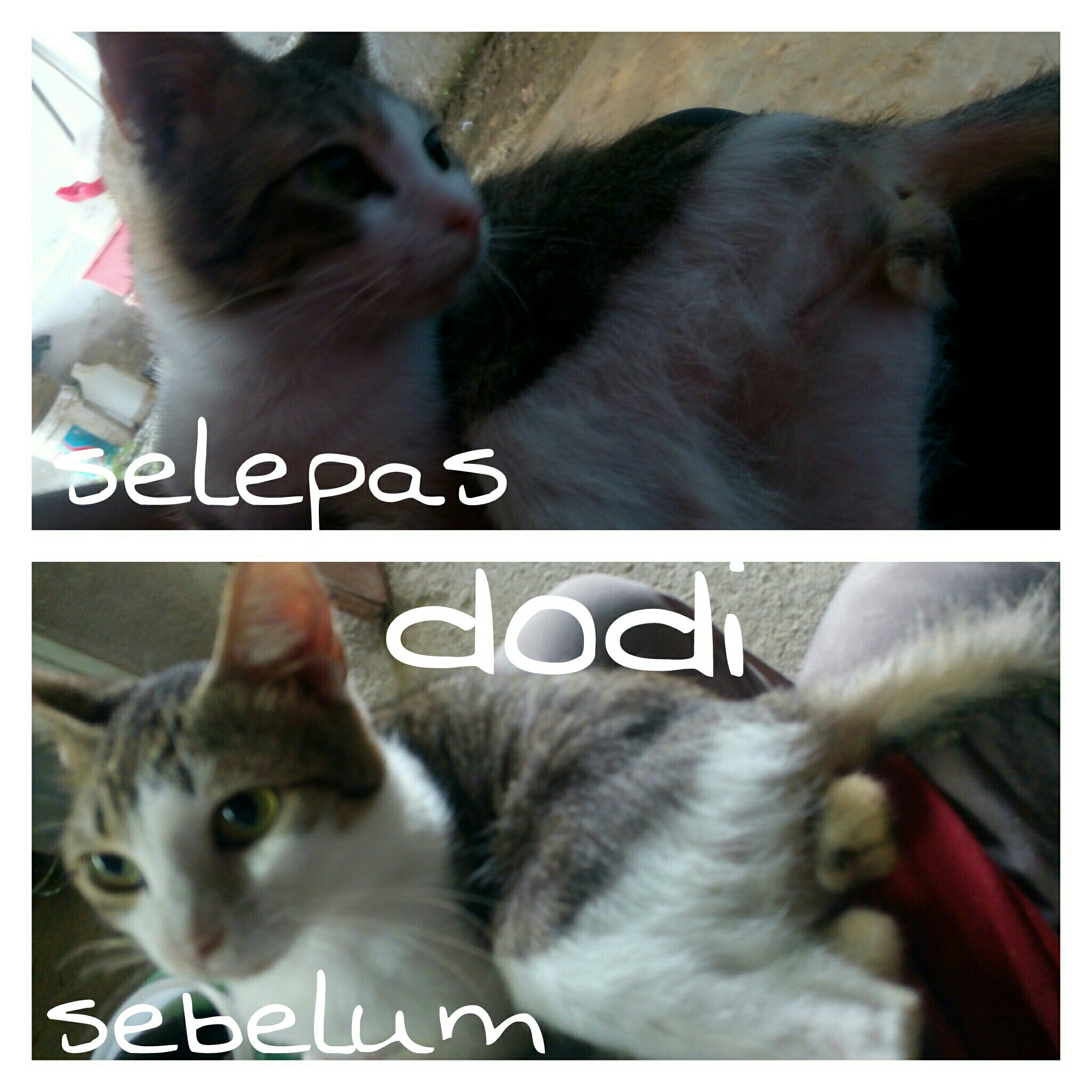 PicsArt_08-04-09.33.20