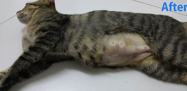 after surgery