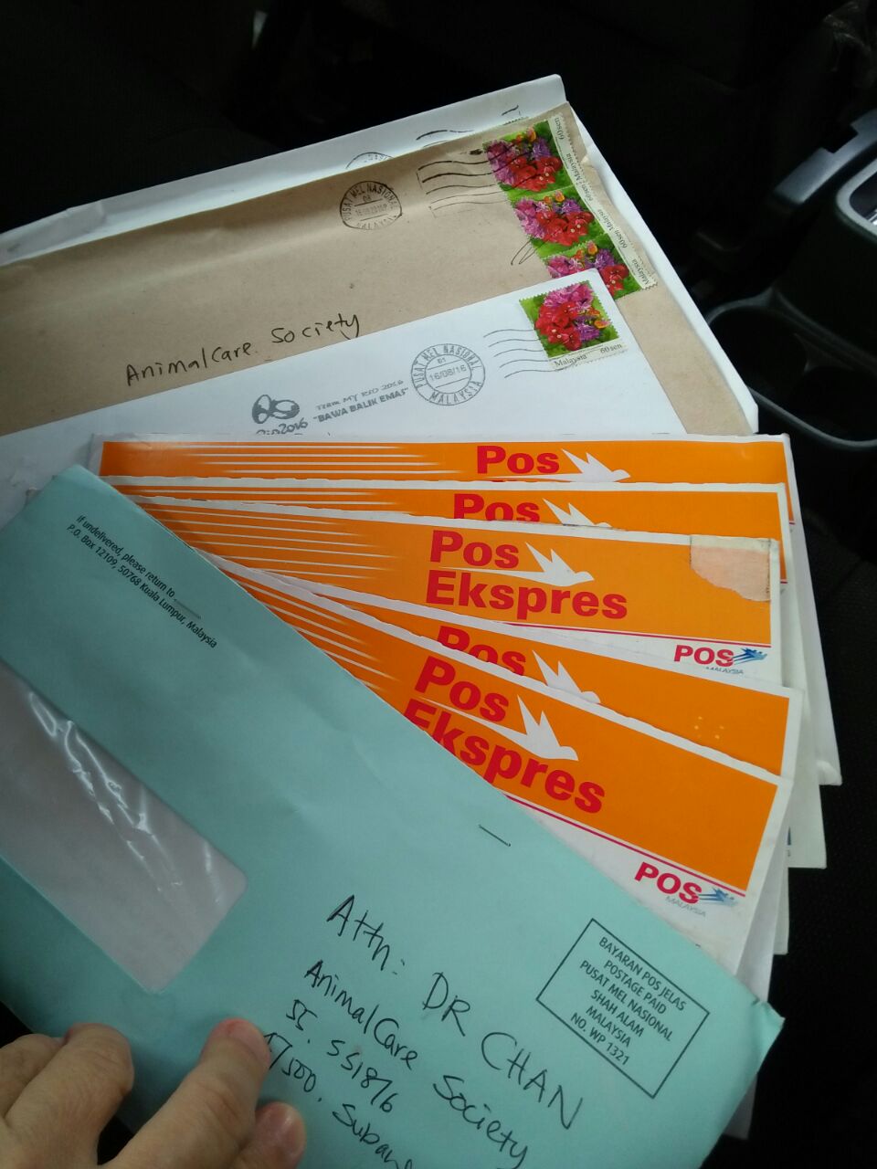 crazy post