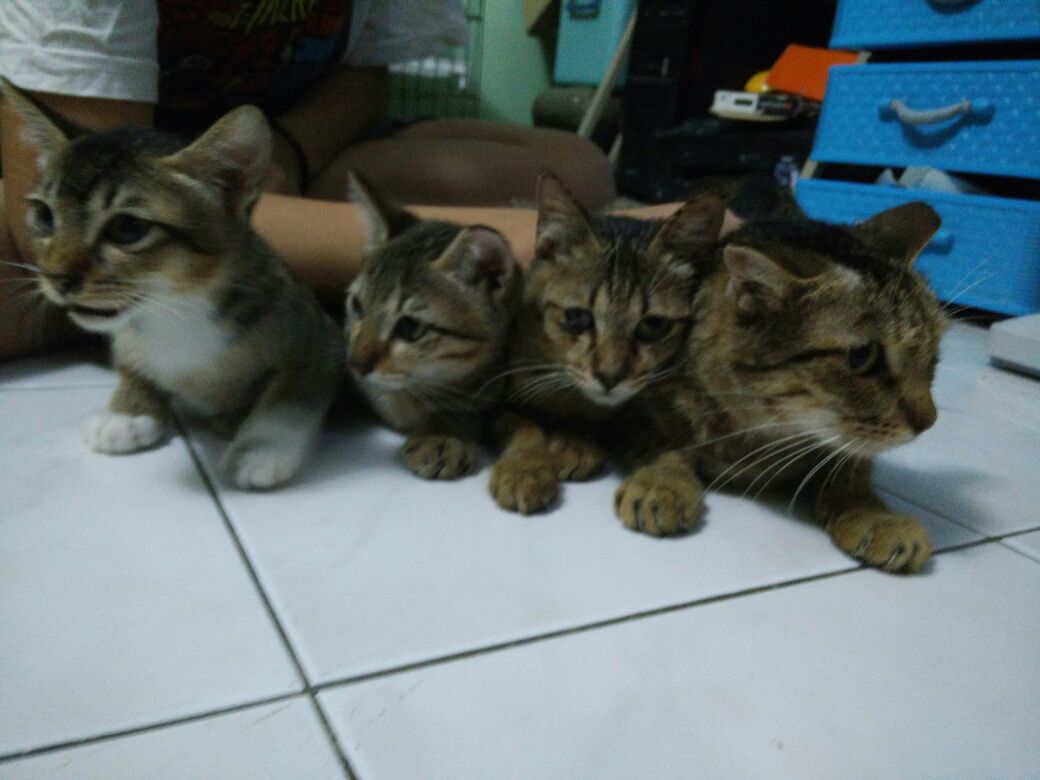 together