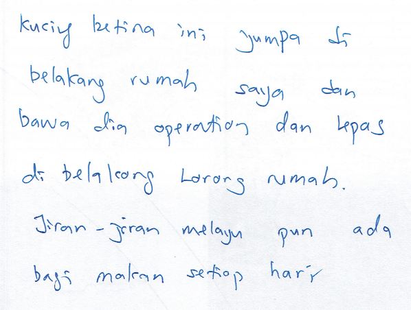 capture