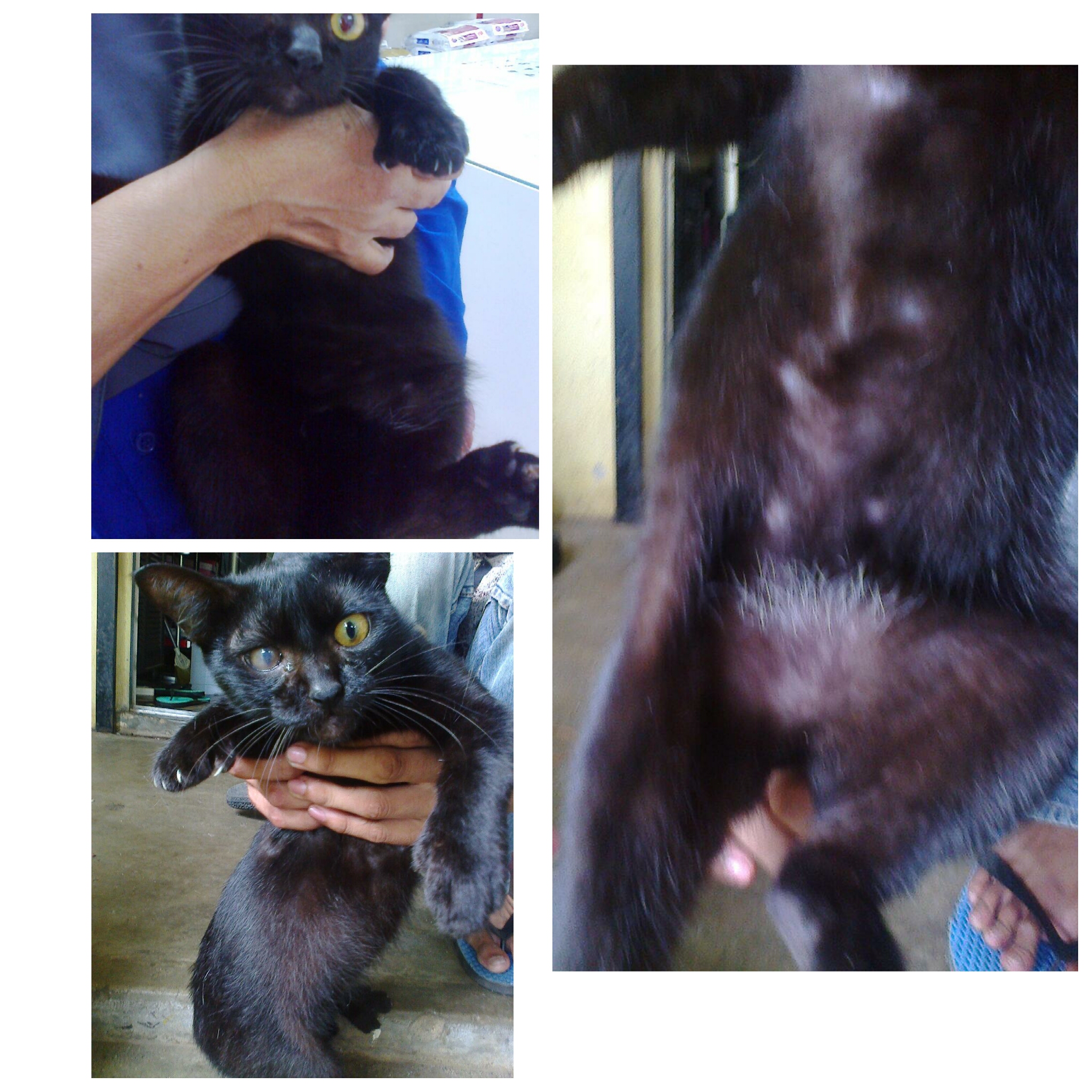 photogrid_1474086200258