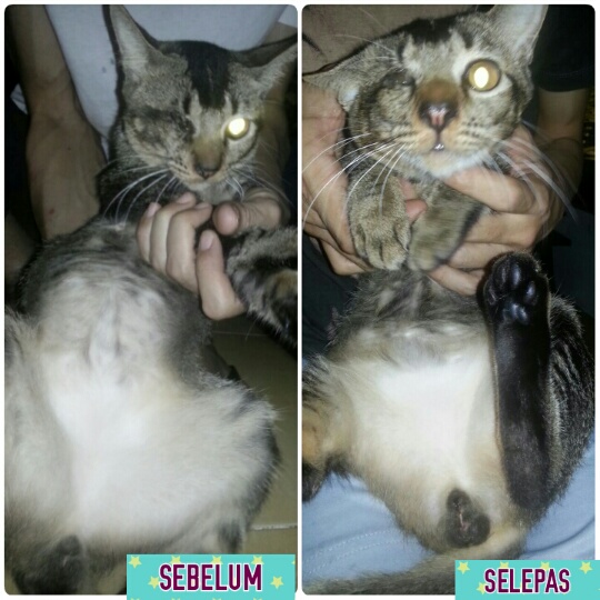 photogrid_1474525381050_resized