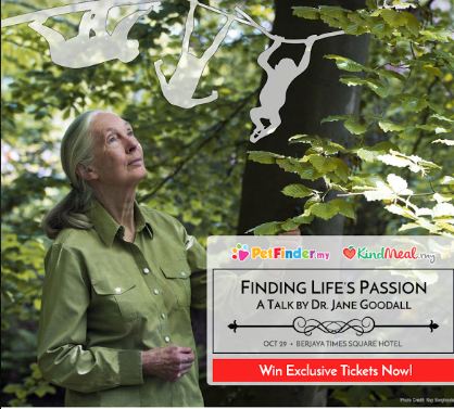 jane-goodall