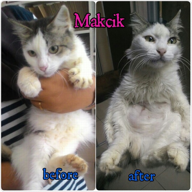 mini-photogrid_1474522414990