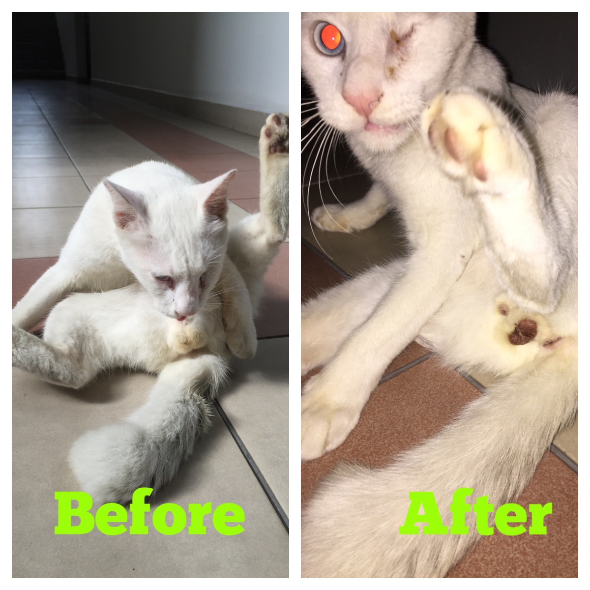 Processed with MOLDIV