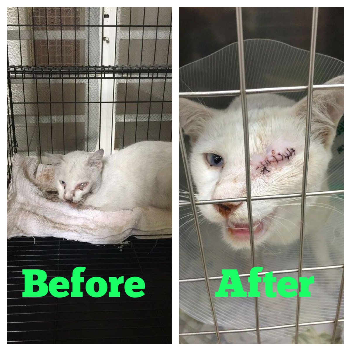 Processed with MOLDIV